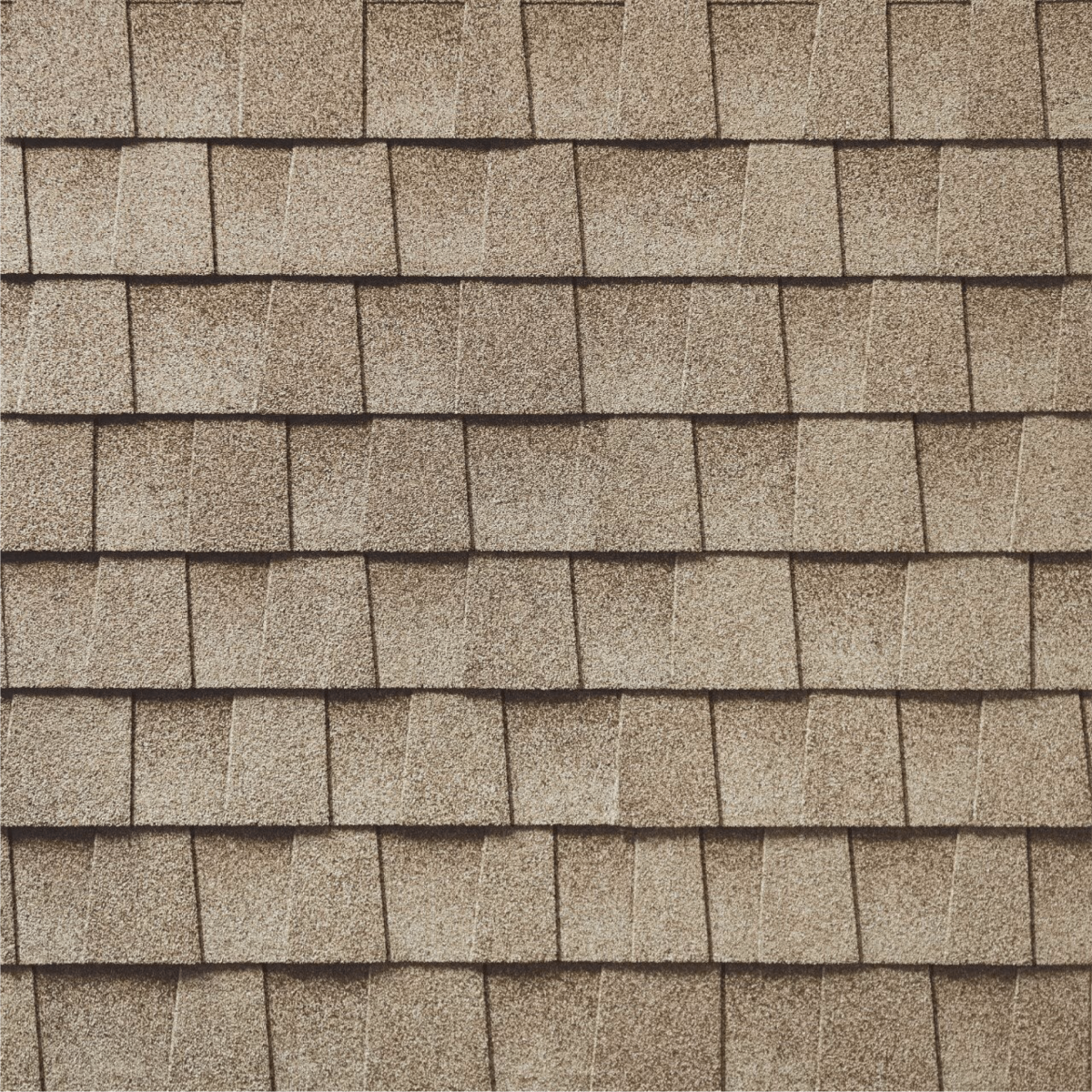 Rapid Roofing Images