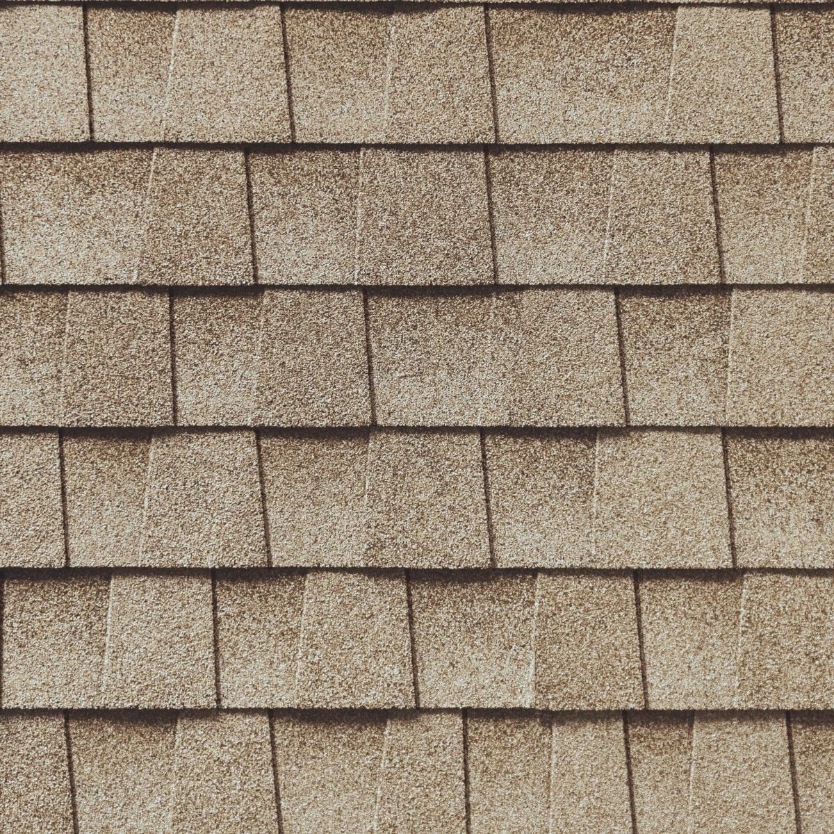 Rapid Roofing Images