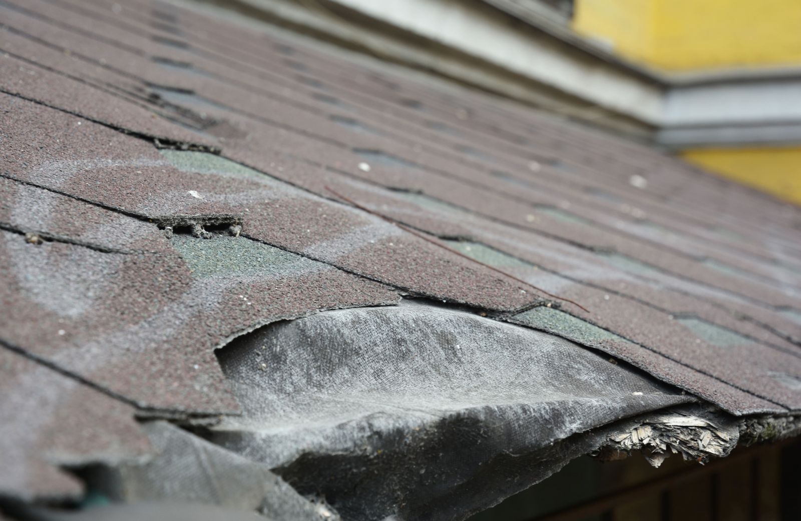 Rapid Roofing Images
