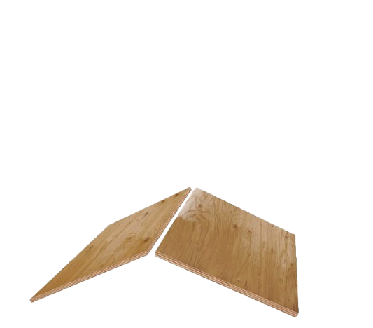 Rapid Roofing Images