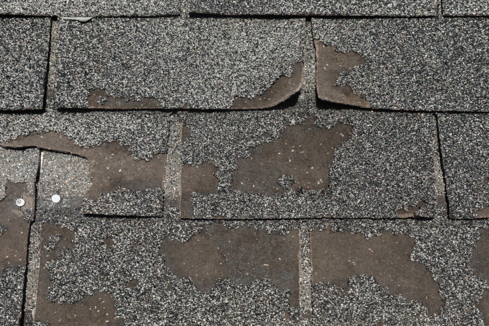 Rapid Roofing Images